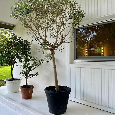 New With Fireplace And Hot Tub Holiday home *