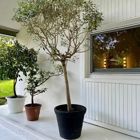 New With Fireplace And Hot Tub Дом отдыха *